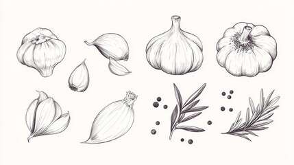 41.A collection of hand-drawn doodle-style garlic illustrations, including separate cloves, a whole bulb, black pepper, and sprigs of rosemary, set against a light, neutral background.