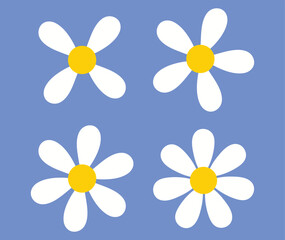 Four white daisies with yellow centers on a blue background daisy flower