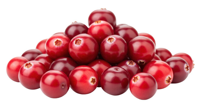 Isolated shiny ripe cranberries pile healthy raw fruit fresh vibrant food festive thanksgiving