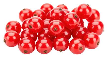 Isolated bunch of vibrant red currants, a summer fruit with a glossy and fresh appearance