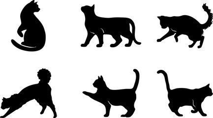 Silhouette vector art of domestic cats in various poses for graphic design and illustration projects vector silhouette  set, silhouette illustration.
