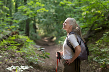 senior woman  with gray hair  with walking sticks and a backpack enjoying the  landscape standing on in the summer forest. copy space. mental health. Slow life.  