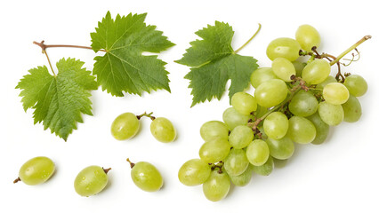 Fresh green grapes with leaves, a healthy and delicious fruit for snacking or making juice
