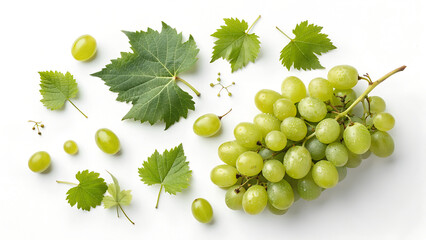 Green grapes and leaves composition, showcasing the natural beauty and healthy appeal of the fruit