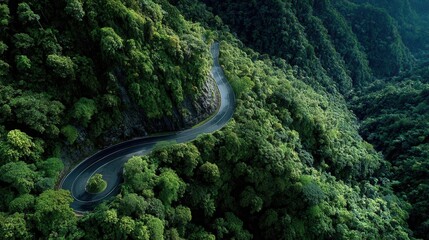 Fototapeta premium Aerial view of winding asphalt road cutting through lush green mountain forest in Asia, showcasing nature's beauty and infrastructure