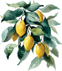Elegant watercolor artwork featuring a lemon tree with glossy ripe lemons and vibrant green leaves - vector illustration