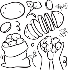 Potato Doodle Set Vector Hand Drawn Collection