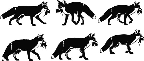 Black and white fox silhouette illustration hunting prey, wild animal with mouse in mouth, predator wildlife vector art design