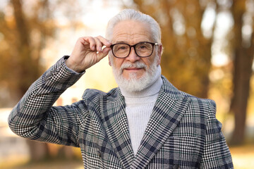 Handsome senior man with gray hair at park