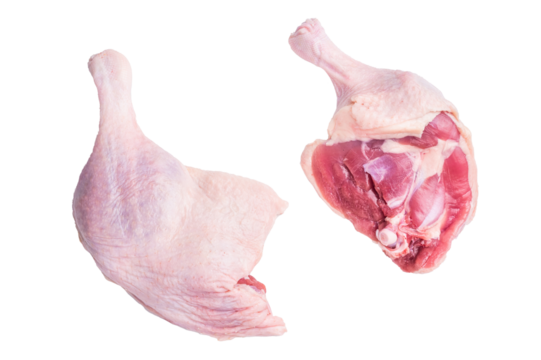 Raw duck leg presented against a clean white surface, perfect for culinary stock imagery. - Powered by Adobe