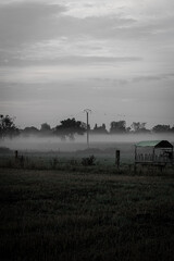 Fog blankets a quiet rural landscape at dawn, highlighting trees and a secluded bench