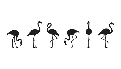 Obraz premium Flamingo silhouette vector illustration tropical bird design