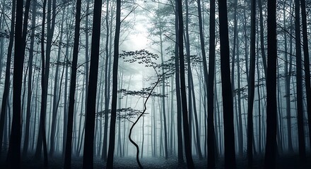 A mysterious and moody forest scene with tall, bare trees in a foggy atmosphere, creating a sense of isolation and tranquility