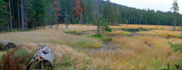 Gro Arbersee Herbst Bayerischer Wald