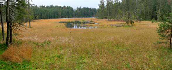 Gro Arbersee Herbst Bayerischer Wald