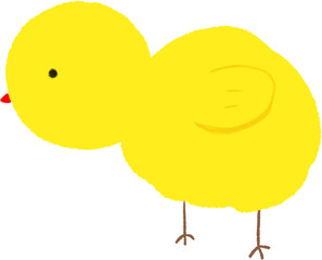Cute Chick Illustration