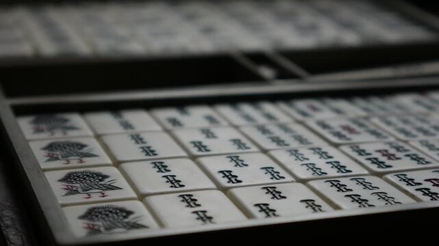 Traditional Mahjong Tiles Set with Circle Dots and Bamboo Sticks Arranged in Wooden Box