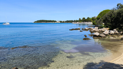 floating pile of small transparent jelly fishes in the shallow water of Adriatic sea in Rovinj,...