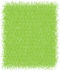 green grass isolated on white vector.