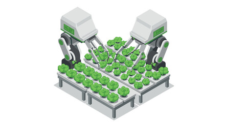 Obraz premium Isometric automated hydroponic farming with robots tending lettuce plants