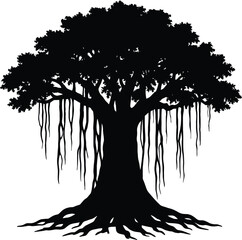 A striking silhouette of a large mature tree with hanging vines