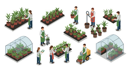 Isometric greenhouse gardening diverse activities and plant care scenes