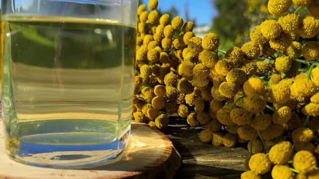 Tansy infusion in a glass Cup on a wooden table. Tansy is a medicinal plant used in folk medicine.