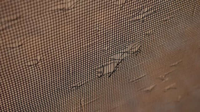 Damaged Door Screen Mesh with Cat Scratches and Holes Pet Destruction Home Repair Needed