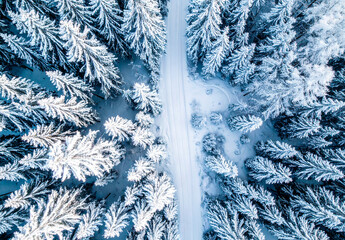 Winter landscape aerial view, snowy forest and frozen scenery