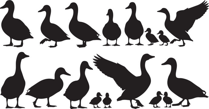 Diverse Silhouettes of Ducks and Ducklings in Various Poses