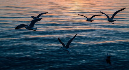 Seagulls soaring over the ocean at sunset, a tranquil scene.