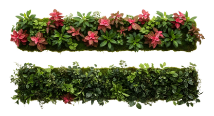 Two rectangular plant arrangements on transparent background