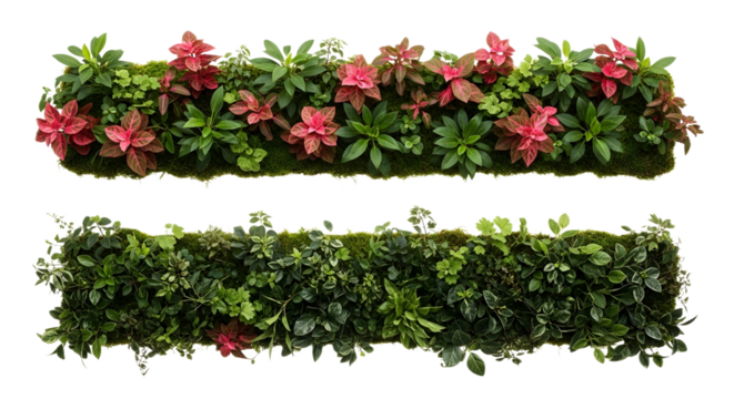 Two rectangular plant arrangements on transparent background