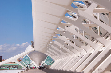 Travel destination. Valencia geometric architecture landmark. Geometric architecture sightseeing. Touristic city arts science. Travel to Valencia. City of arts and sciences. Contemporary landmark © altana_studio