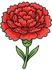 carnation flower