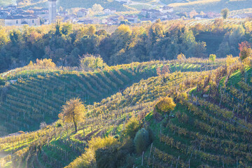 Prosecco Hills