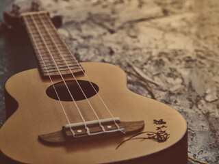 Ukulele positioned on left side of frame, soft warm matte tones, subtle travel mood, gentle light highlighting wood texture, open space on top right for text, artistic and cozy composition.
