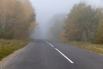 a narrow country road with yellowing trees on the edge of the road in the autumn season, cloudy...