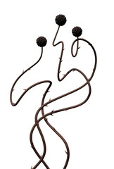 Curly vines with thorns background. Dry twisted prickly plant twigs for stories isolated. Product background 3D rendering