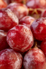a branch of red ripe grapes in drops of water on the table, wet ripe and delicious red grapes on the table