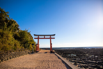 Winter scenery of Aoshima, Miyazaki Prefecture, Kyushu, Japan