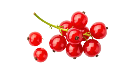 Isolated bunch of fresh, vibrant red currants against a clean backdrop for easy compositing