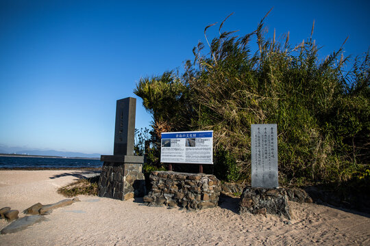 Winter scenery of Aoshima, Miyazaki Prefecture, Kyushu, Japan
