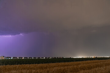Spectacular Summer Storm: Powerful Lightning Striking Over a Vast Wheat Field at Night, Capturing Dramatic Rural Landscape.