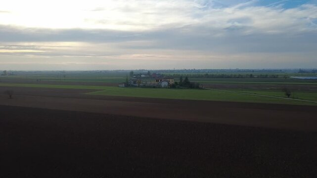 Pianura Padana, campi di grano appena nato, strade di campagna, passegiate, cascinali, gelsi dal drone - San Giuliano Vecchio -  Alessandria - Piemonte - Italia