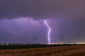 Spectacular Summer Storm: Powerful Lightning Striking Over a Vast Wheat Field at Night, Capturing Dramatic Rural Landscape.