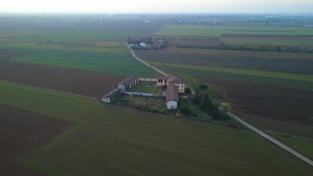 Pianura Padana, campi di grano appena nato, strade di campagna, passegiate, cascinali, gelsi dal drone - San Giuliano Vecchio -  Alessandria - Piemonte - Italia