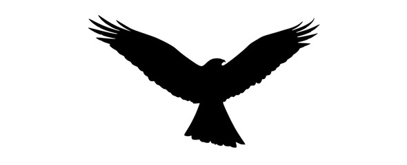 Obraz premium a black silhouette of an eagle in flightbird, black, crow, eagle, flight, fly, profile, raven, sky, spread, wing 