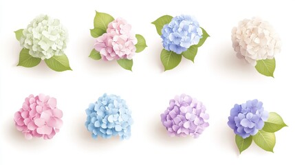 35.A set of lush hydrangea blooms in various shades, showcasing the intricate details of delicate petals and clustered floral formations, arranged in a visually harmonious composition.