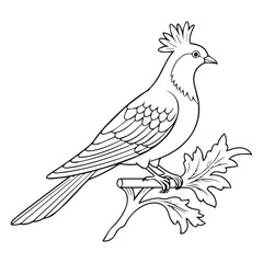 vector illustration of a bird